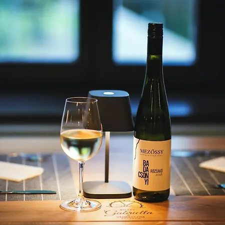 加布里埃拉酒店 陶波尔曹
